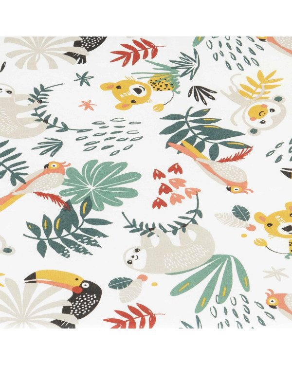 Plan incliné collection renard