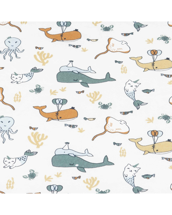 Plan incliné collection octopus